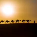 A Sunset Camel Ride in Merzouga
