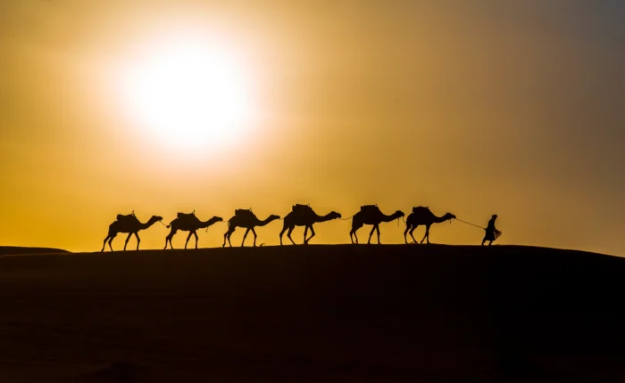 A Sunset Camel Ride in Merzouga