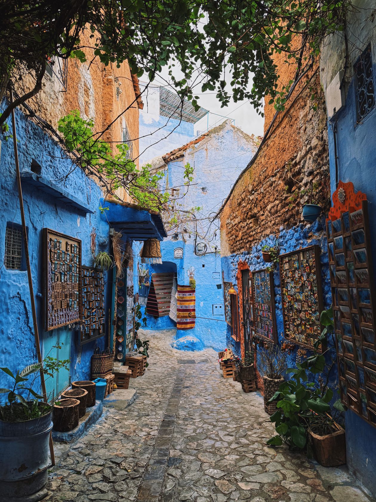 Charming blue alleyway decorated with potted plants and traditional tilework in Chefchaouen