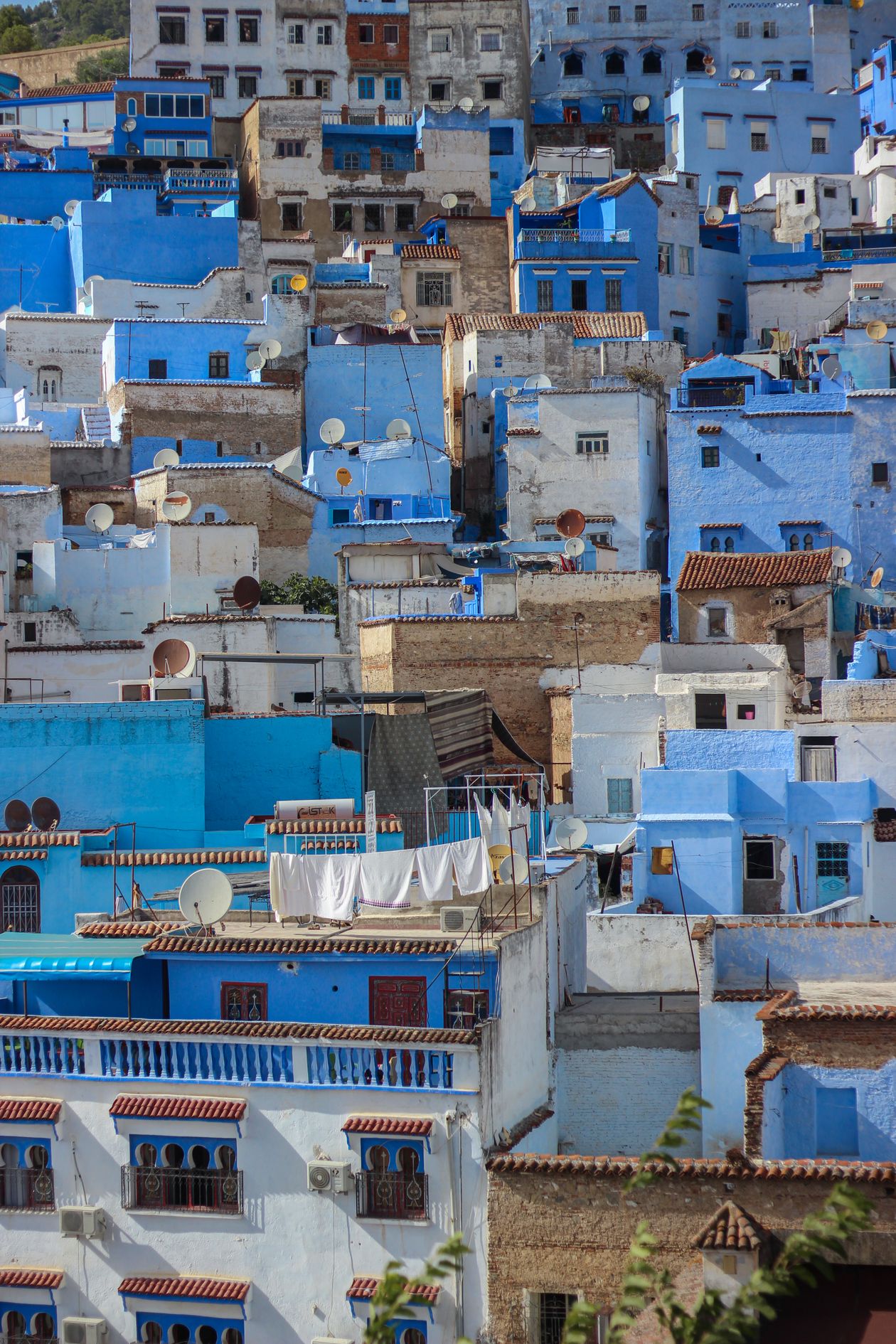 Blue-painted houses and facades lining a narrow street in Chefchaouen, Morocco's famous Blue City