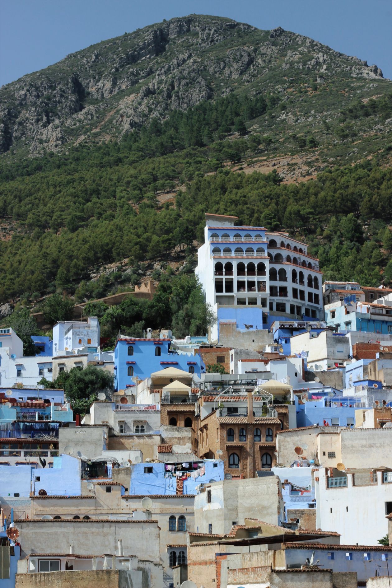 Panoramic view of Chefchaouen's blue medina set against the green Rif Mountains